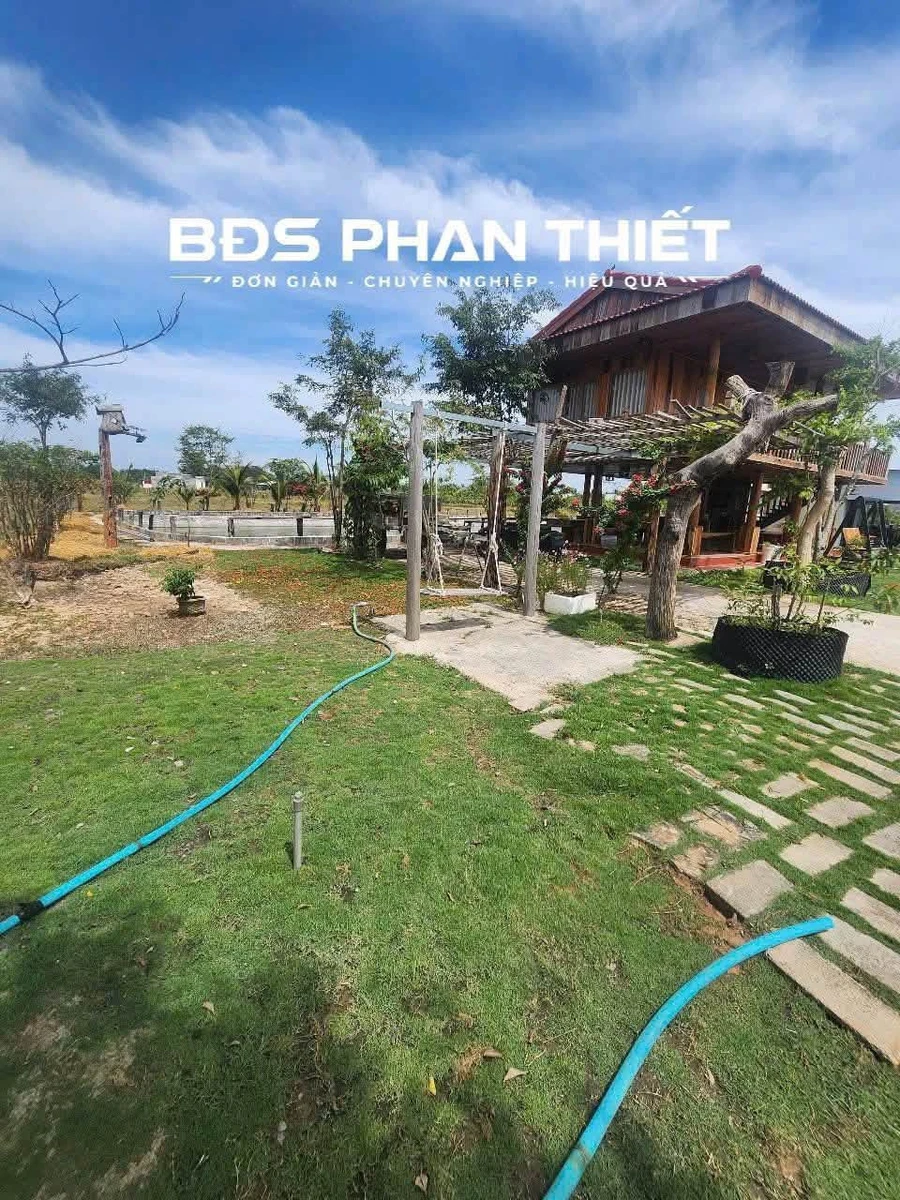 Bán đất Hàm Liêm Phan Thiết 2.747m² có nhà gỗ - Ảnh thu nhỏ 3