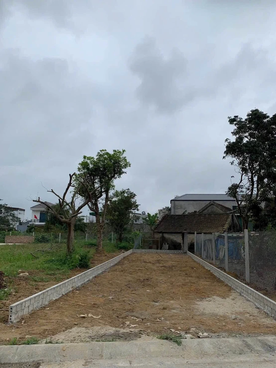Bán đất 101,7m² mặt đường Thanh Niên, Nghi Ân, Nghệ An - Ảnh thu nhỏ 2