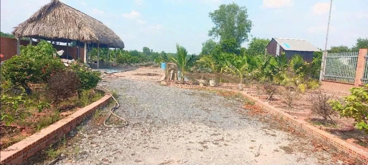Bán đất vườn 2.517m2 tại Phú An, Hồ Chí Minh - 5 tỷ - Ảnh thu nhỏ 4