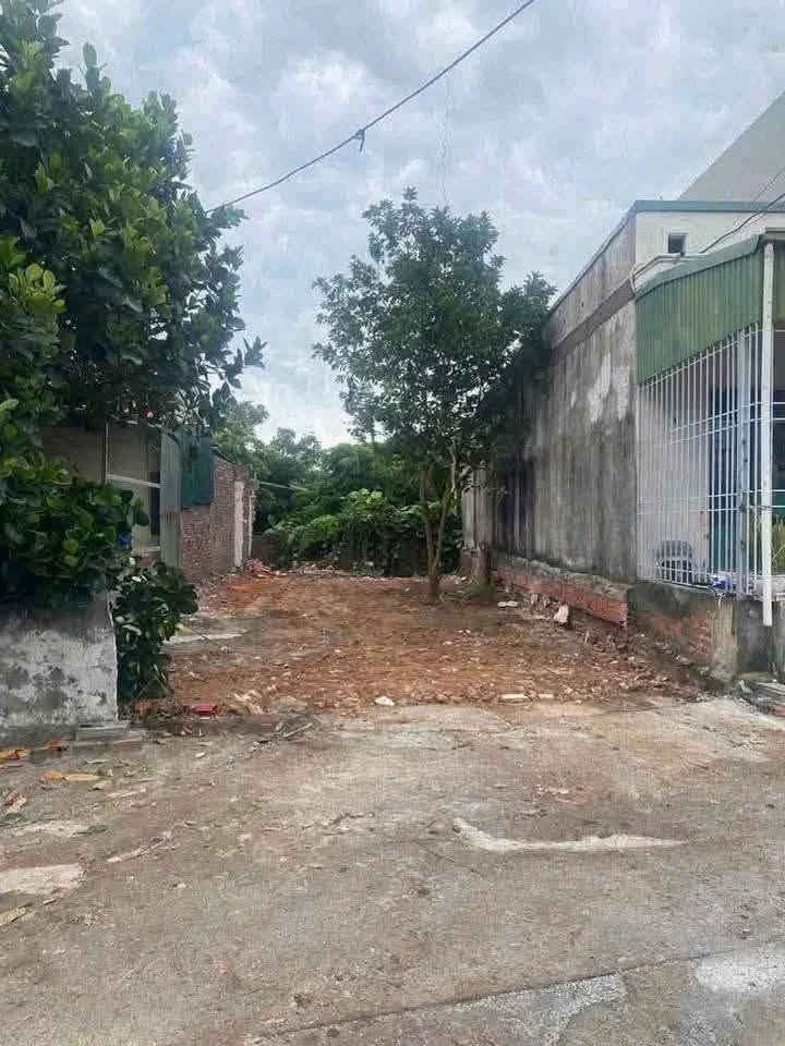 Bán đất ngõ Lò Vôi Ông Kì 103.5m² mặt tiền 6m Hóc Môn - Ảnh thu nhỏ 4