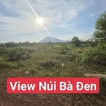Bán đất Dương Minh Châu Tây Ninh 175m2 290 triệu - Ảnh thu nhỏ 4