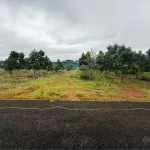 10 tỷ cho 2,3 ha phù hợp làm kho bãi hoặc nông nghiệp sát Quốc Lộ 14 Đăk Nông - Ảnh thu nhỏ 7