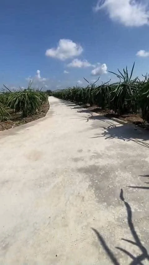 Bán đất thổ 2080m² Long Trì, Châu Thành, Long An - Ảnh thu nhỏ 2