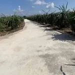 Bán đất thổ 2080m² Long Trì, Châu Thành, Long An - Ảnh thu nhỏ 2