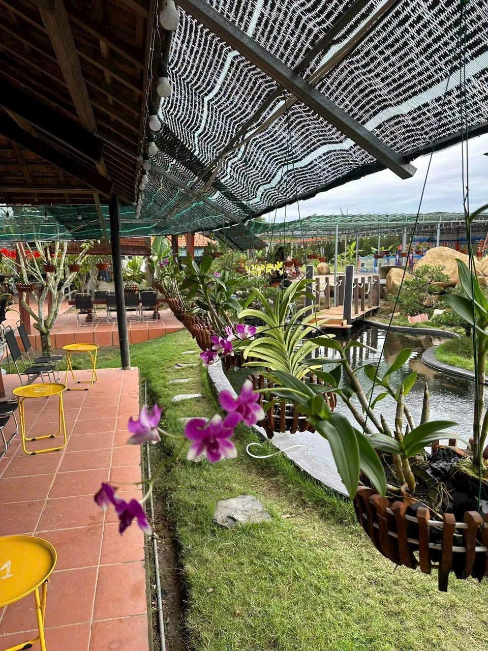 Bán farm 14.500m² Khánh Hòa giá 12 tỷ đã hạ - Ảnh 1