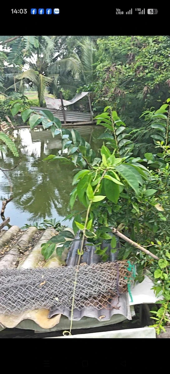 Bán lô đất 130 m² Xã Long Hòa, Cần Đước, Long An - Ảnh thu nhỏ 3