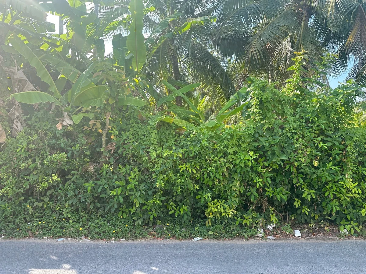 Bán đất mặt tiền Thống Nhất 300m² sổ riêng - Ảnh thu nhỏ 3