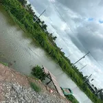 Bán nhà vườn lô góc 2 mặt tiền kênh gần 1.000m2 tại Tân Thành, Thủ Thừa, Long An - Ảnh thu nhỏ 3
