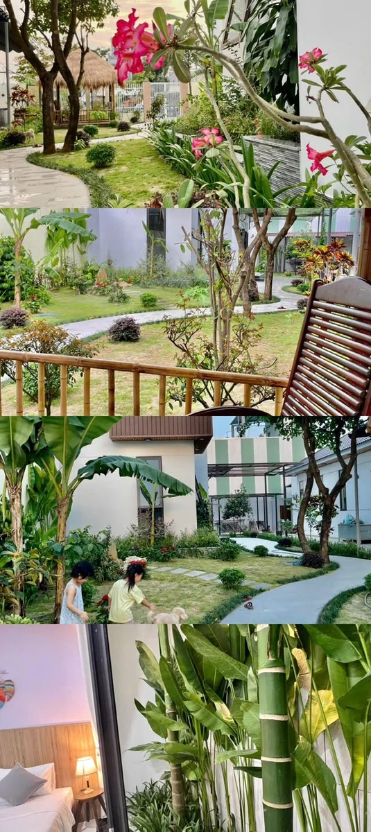 Cho thuê biệt thự sân vườn 350m2, 4 PN ở Sơn Trà gần biển - Ảnh thu nhỏ 5