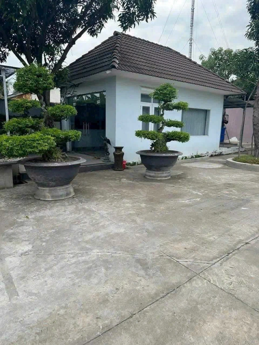 Bán nhà xưởng 1.879m² đường 816, Bến Lức, Long An - Ảnh thu nhỏ 2
