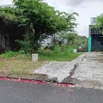 Bán đất 123m² TĐC Hoà Liên 3 Đà Nẵng 2.2 tỷ - Ảnh thu nhỏ 5