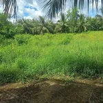 Bán đất nền 500m² ở Xã Lộc Thuận, Bến Tre giá 130 triệu - Ảnh thu nhỏ 3