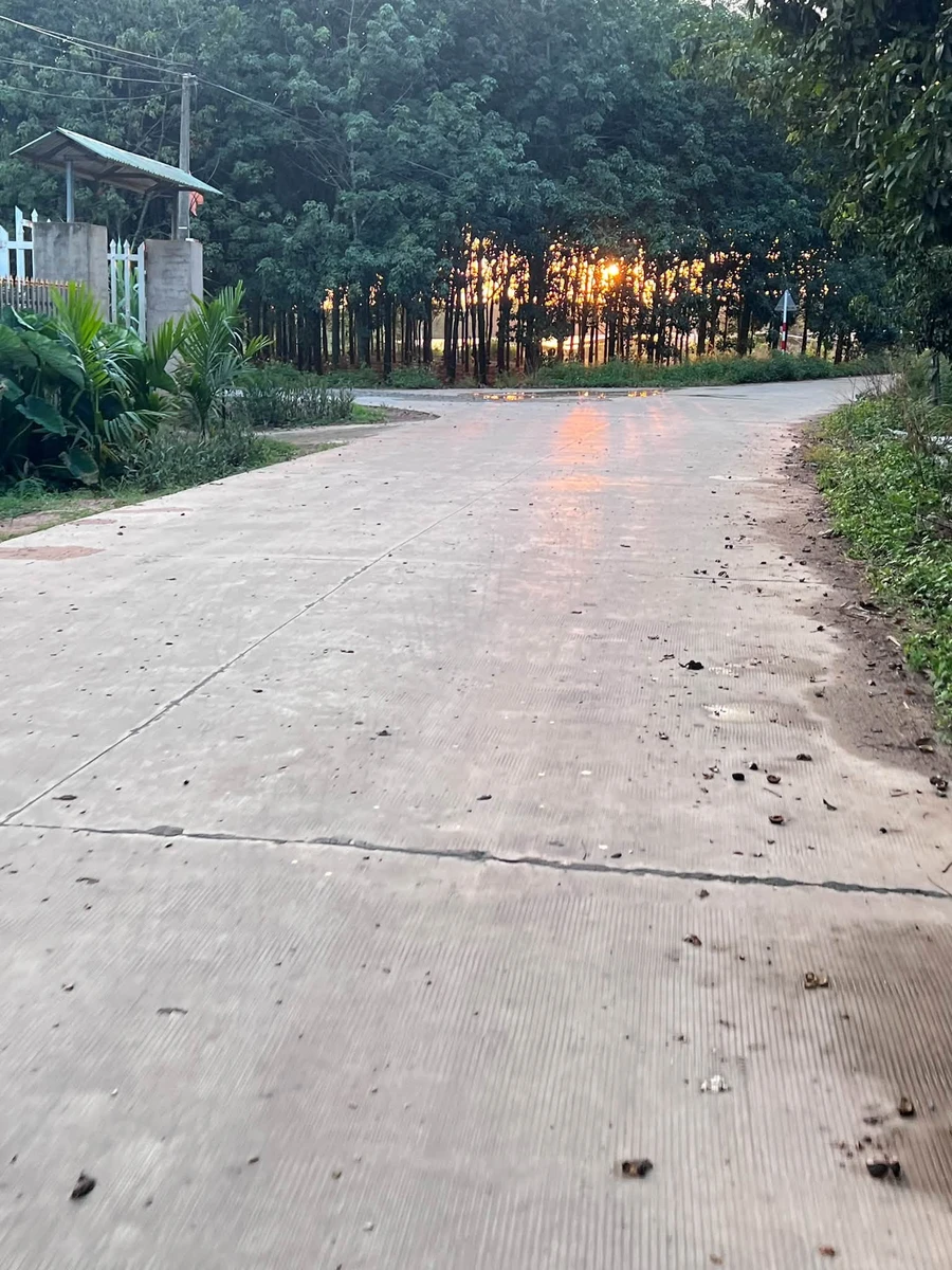 Bán đất nền 1100m2 Eapal Eakar Đắk Lắk giá 300 triệu - Ảnh thu nhỏ 3