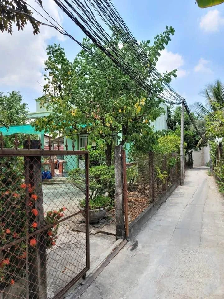 Bán lô đất vườn 1.197m² Cần Giuộc, Long An 2,6 tỷ - Ảnh 1