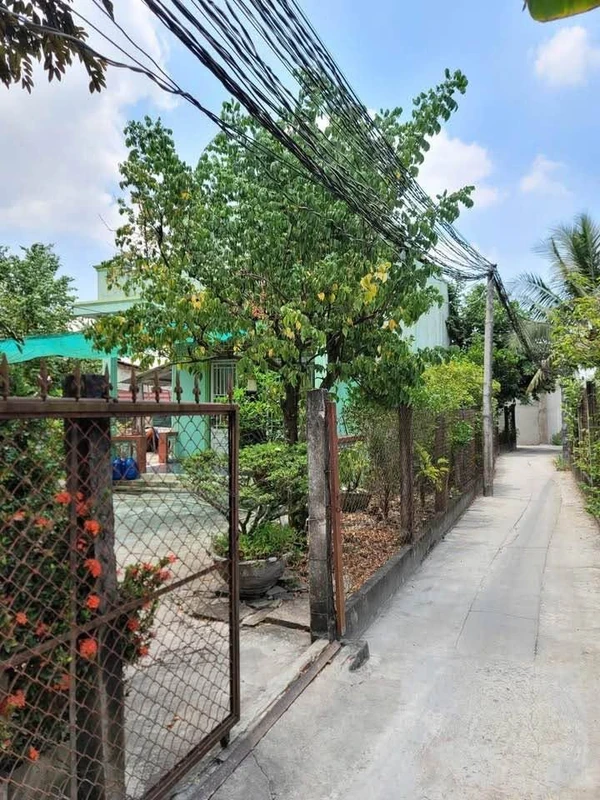 Bán lô đất vườn 1.197m² Cần Giuộc, Long An 2,6 tỷ