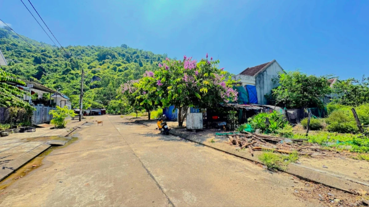 Bán đất tái định cư Đại Lãnh 212,5m² mặt tiền Đường D8 - Ảnh thu nhỏ 3
