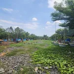 Bán đất 10.000m2 Xã Bình Minh, Đồng Nai 16 tỷ - Ảnh thu nhỏ 4