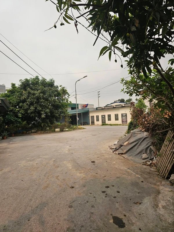 Bán đất 62m² mặt tiền 4m Hải Phòng