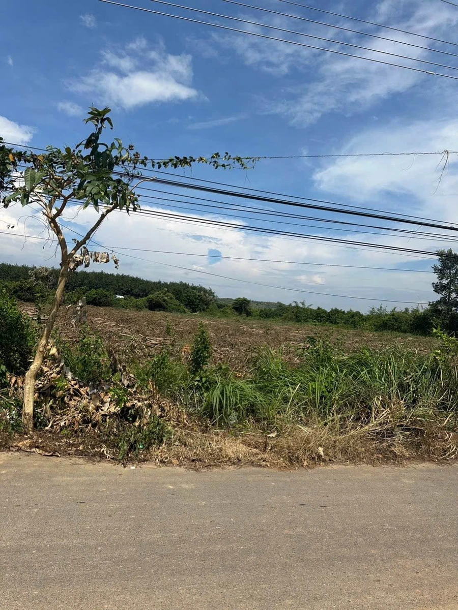 Bán đất Phú Lý Đồng Nai 12.000 m2 mặt tiền 97 m - Ảnh thu nhỏ 3