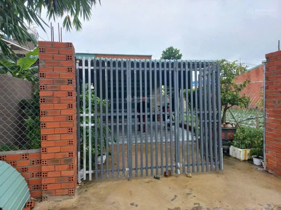 Chủ chuyển về Sài Gòn cần sang lại căn nhà cấp 4 .Vị trí đường An Phú Trảng Bàng(dt 6x29m)giá 790tr - Ảnh 1