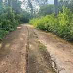 Bán 500m2 đất vườn điều Long Khánh 850 triệu - Ảnh thu nhỏ 1