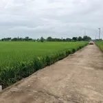 Bán 2000m² đất lúa Mỹ Bình, Tân Trụ, Long An - Ảnh thu nhỏ 1