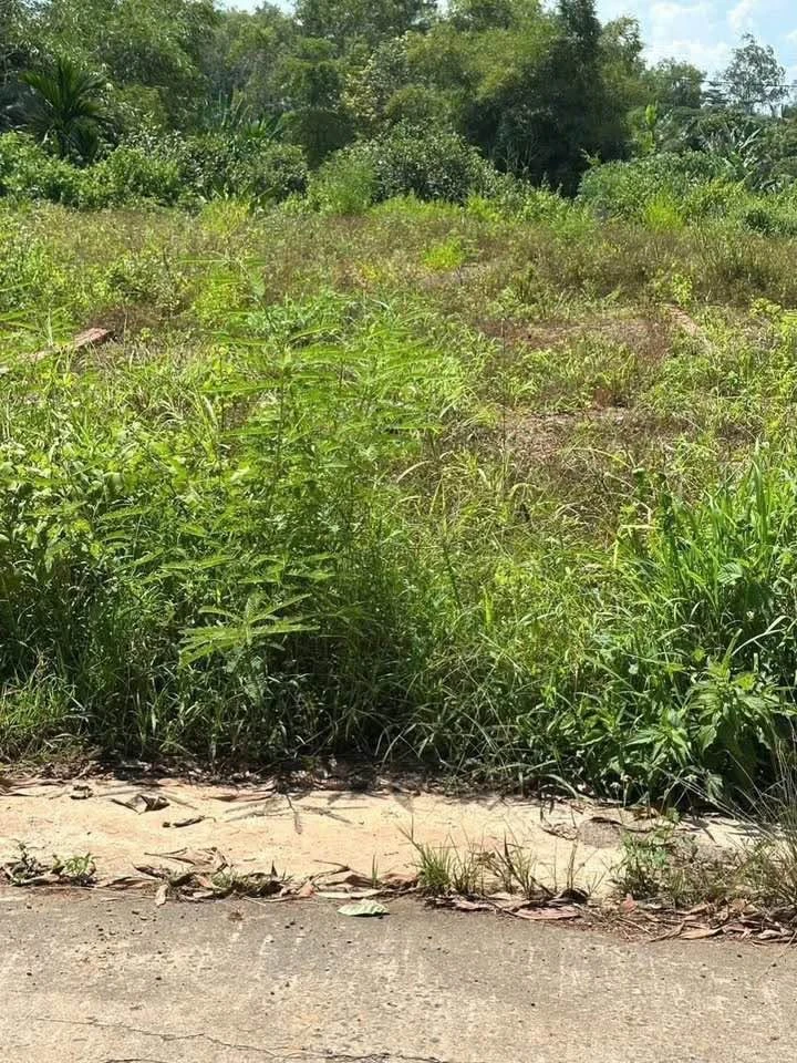 Bán đất Xuân Thọ 5×38m (190m²), 690 triệu, sổ riêng - Ảnh thu nhỏ 3