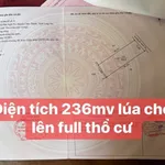 Bán 500m² đất nền Tây Ninh, mặt tiền Thầy Bờ, 1 tỷ 300 triệu - Ảnh thu nhỏ 3