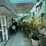 Bán nhà 32m² ngang 7.2m, 2PN 3WC, sân thượng xanh khu Nguyễn Văn Trỗi, Phú Nhuận - Ảnh thu nhỏ 2