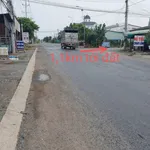 Bán đất xây nhà vườn view kênh 1339m2 Tân Trụ - Ảnh thu nhỏ 2