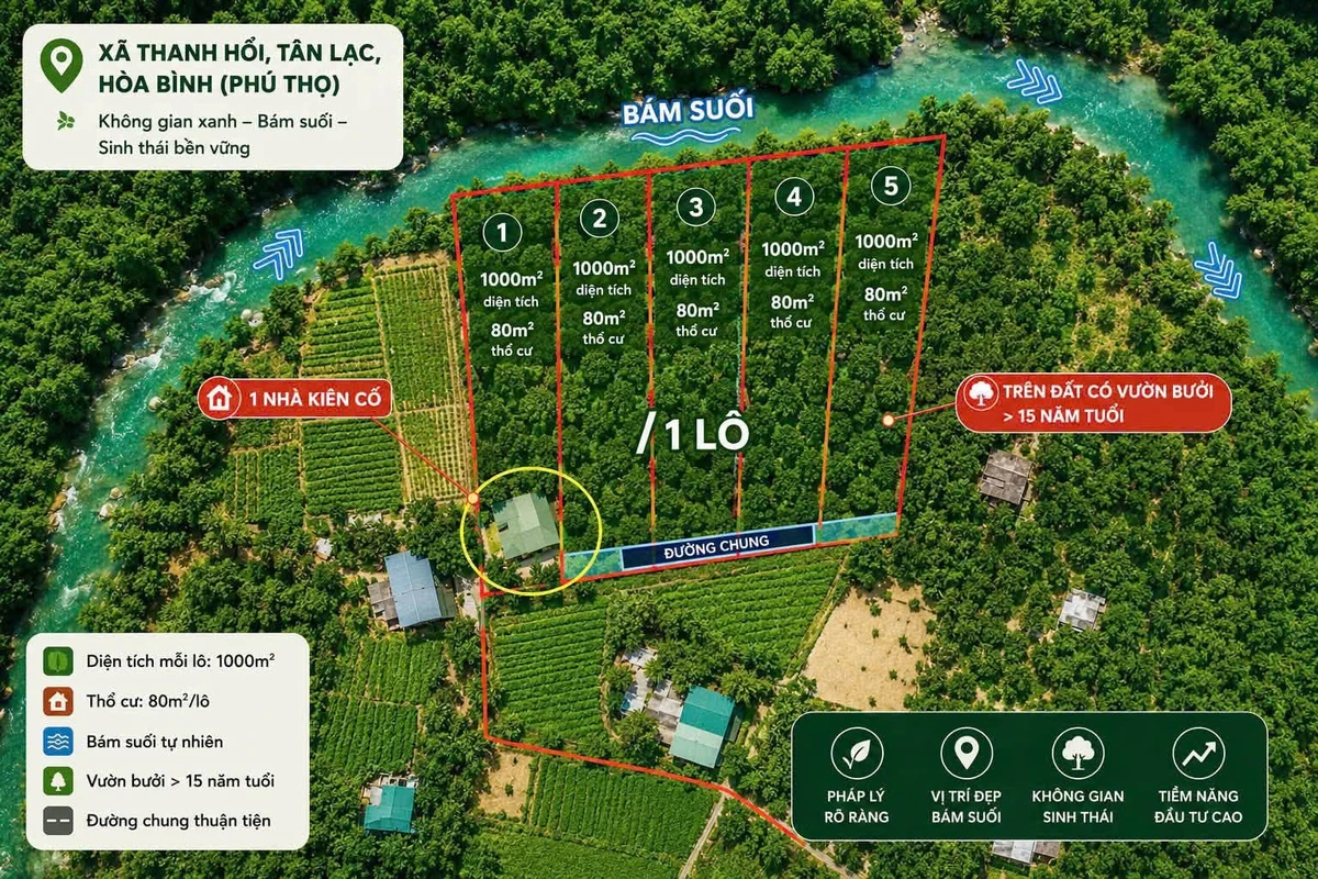 Đất bám sông Bưởi với vườn bưởi 935m² tại Tân Lạc, Hòa Bình - Ảnh 1