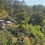 Bán đất 1.000m² Xuân Trường Đà Lạt, có nhà sẵn, 1,269 tỷ - Ảnh thu nhỏ 2
