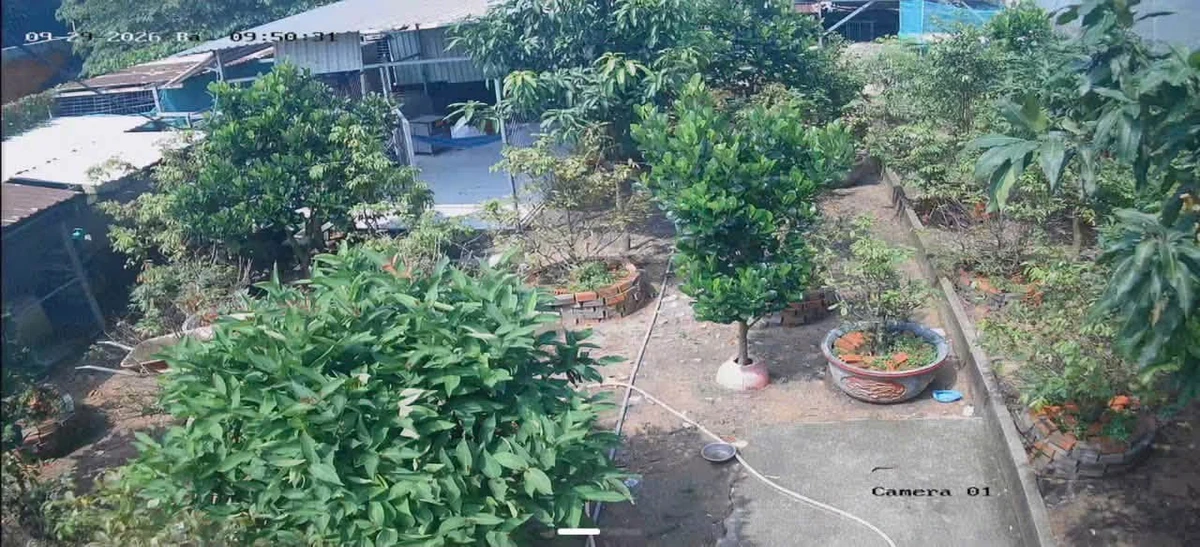 Bán đất Chánh Phú Hòa 460m² giá 2 tỷ 6 - Ảnh 1