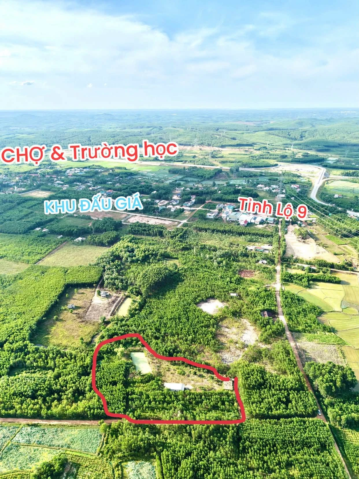 Bán đất trang trại 5500m2 Đông Thái gần chợ trường học - Ảnh 1