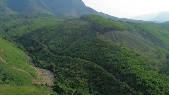 Bán 7,5 ha đất rừng sản xuất view sông, bám suối tại Đại Lộc, cách Đà Nẵng 50km - Ảnh thu nhỏ 4