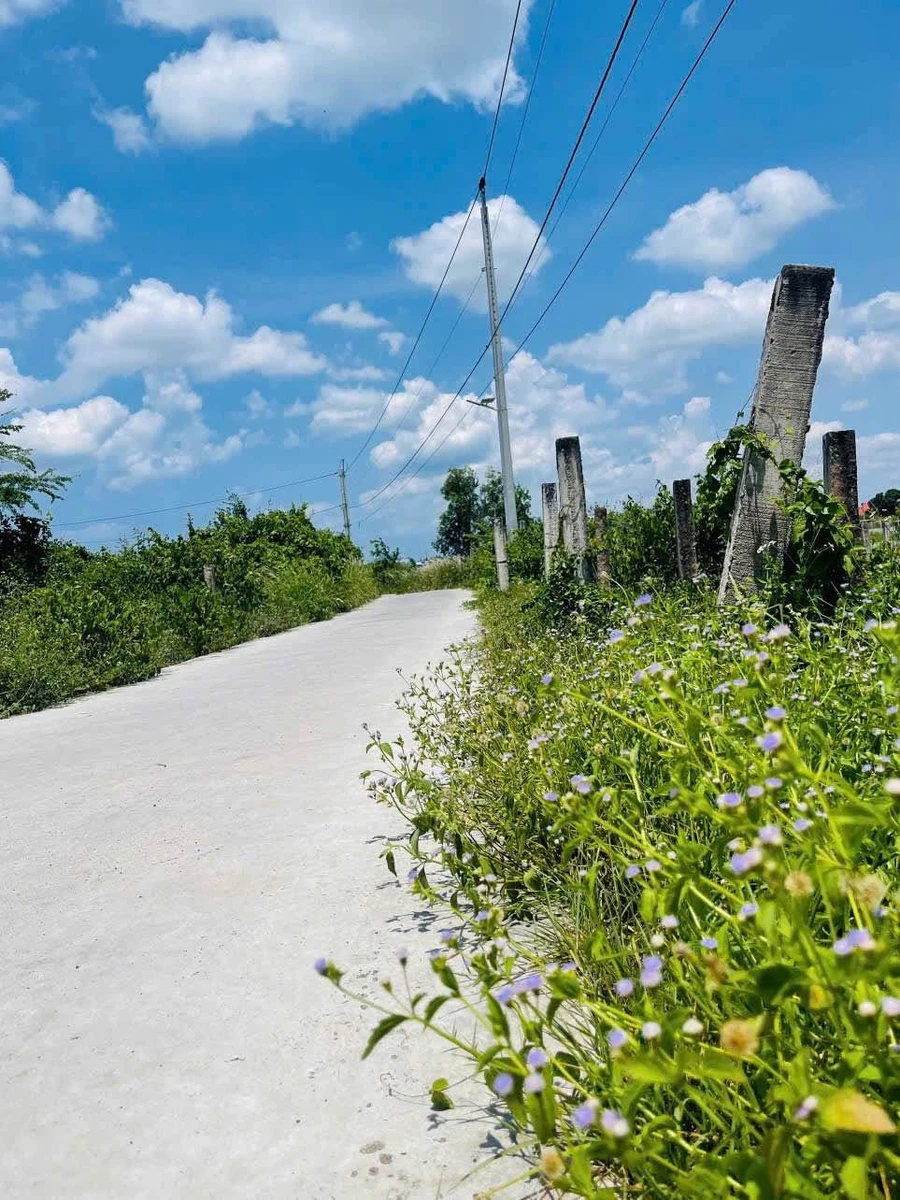 Bán đất 488m2 Thuận Thành Hàm Liêm Phan Thiết 450 triệu - Ảnh thu nhỏ 2