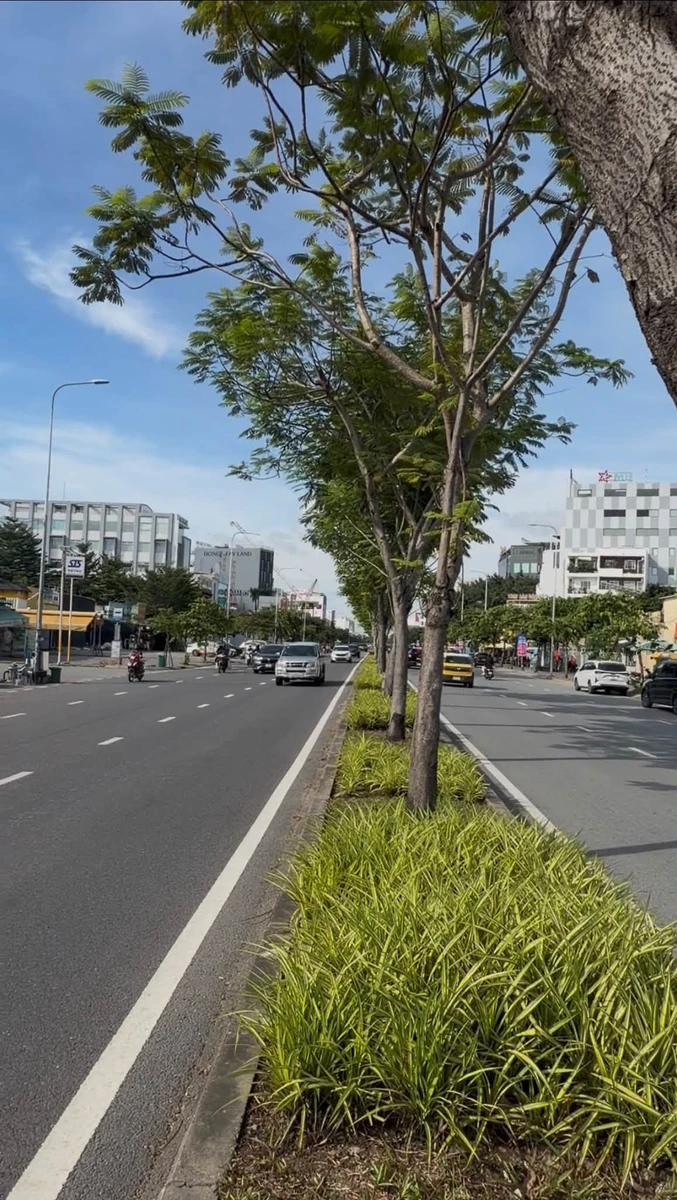 Bán nhà đất góc 2 mặt tiền Trần Não 746,2m² giá 340 tỷ, An Khánh, Thủ Đức - Ảnh thu nhỏ 2