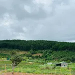 Bán đất thổ cư view rừng thông tại Nam Ban, Lâm Hà, Lâm Đồng, từ 5xx triệu - Ảnh thu nhỏ 2