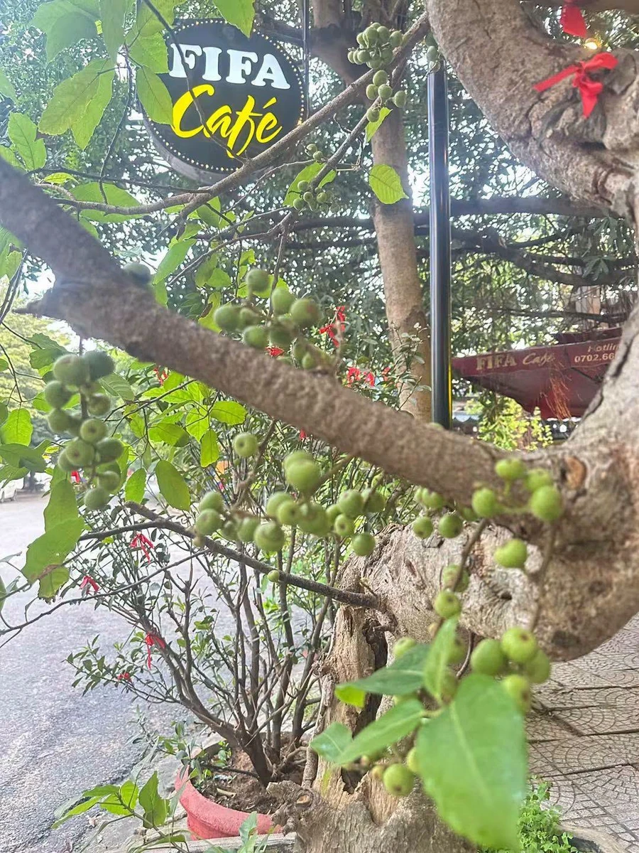 Bán nhà 2 tầng 183,7m² đường 10m Đà Nẵng 13,5 tỷ - Ảnh thu nhỏ 3