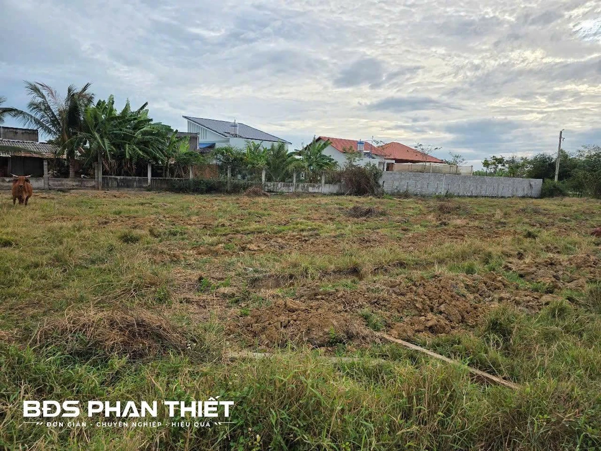 Bán đất 1.000 m² quy hoạch thổ cư, Kim Bình, Phan Thiết - Ảnh thu nhỏ 3