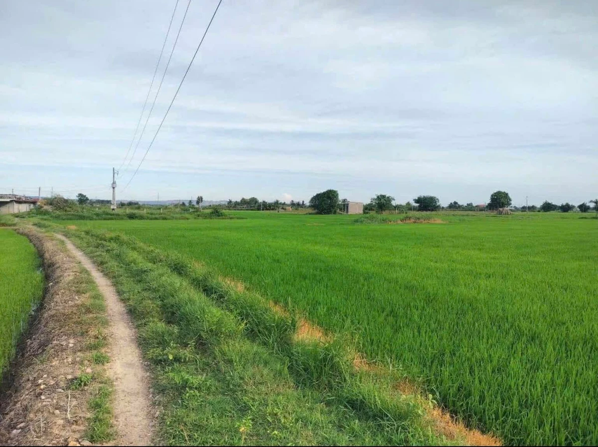 Bán đất nền 2,5 sào toàn quyền tại Xã Hàm Thuận, Lâm Đồng - Ảnh 1