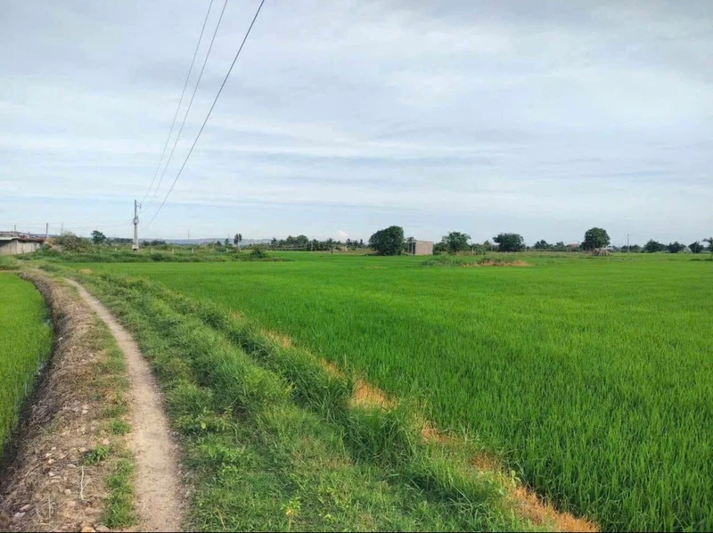 Bán đất nền 2,5 sào toàn quyền tại Xã Hàm Thuận, Lâm Đồng
