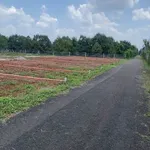 Bán nền 10x17m, 590 triệu, Long Khánh, Đồng Nai - Ảnh thu nhỏ 1