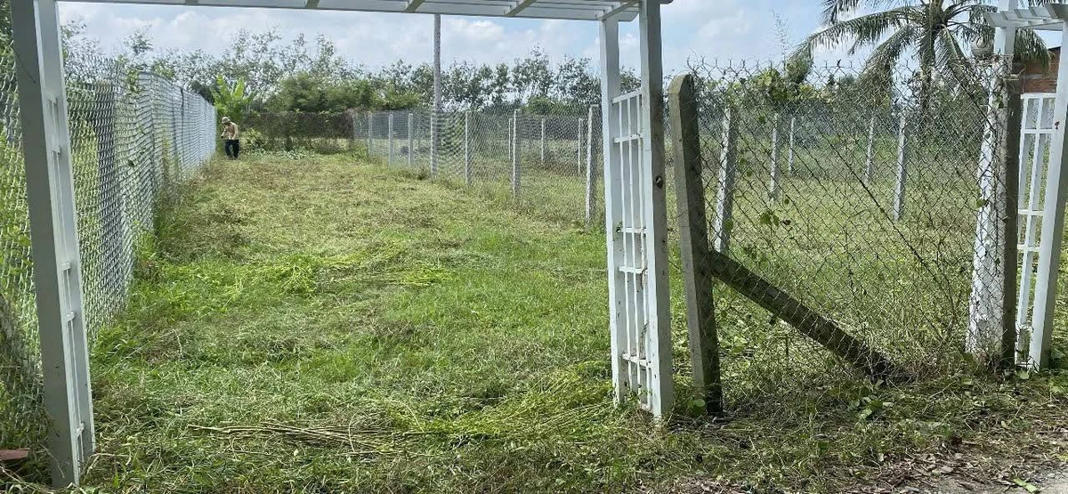 Bán đất Giồng Cà Tây Ninh 140m², 199 triệu/lô - Ảnh thu nhỏ 2