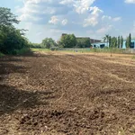 Bán đất 5600m2 sổ cư Cẩm Mỹ Đồng Nai 8 tỷ - Ảnh thu nhỏ 3