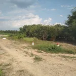 Bán đất 5000m² 2 mặt tiền Sông Sài Gòn Trung An Củ Chi - Ảnh thu nhỏ 2