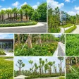 Mở bán đợt 1 dự án Times Riverside. Liên hệ Em Trường CĐT để chọn lô đẹp. - Ảnh thu nhỏ 17