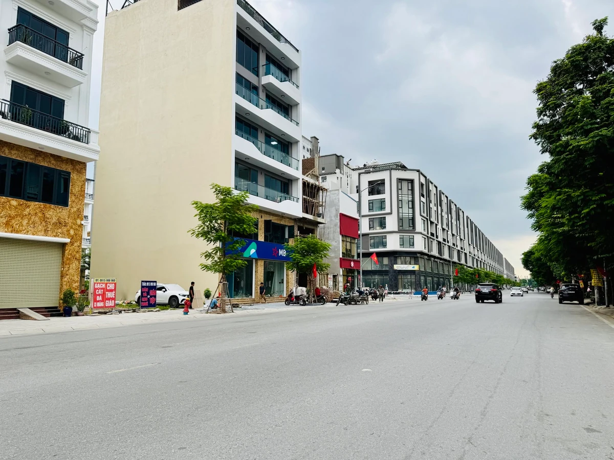 Bán lô đất kinh doanh 70m² mặt đường Lê Thánh Tông - Ảnh thu nhỏ 2