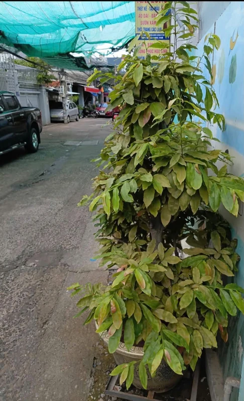 Bán nhà mặt tiền hẻm 70m2, 2PN tại Vũng Tàu