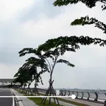 Bán đất 72m² 3 mặt tiền bờ kè Bửu Long, Biên Hòa 8 tỷ - Ảnh thu nhỏ 2